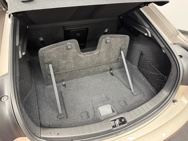 POLESTAR POLESTAR 2